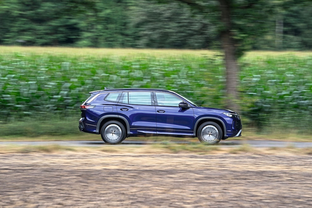 VW Tayron - AUTO BILD-Gebrauchtwagen-Test