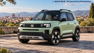 Fiat Koala Illustration