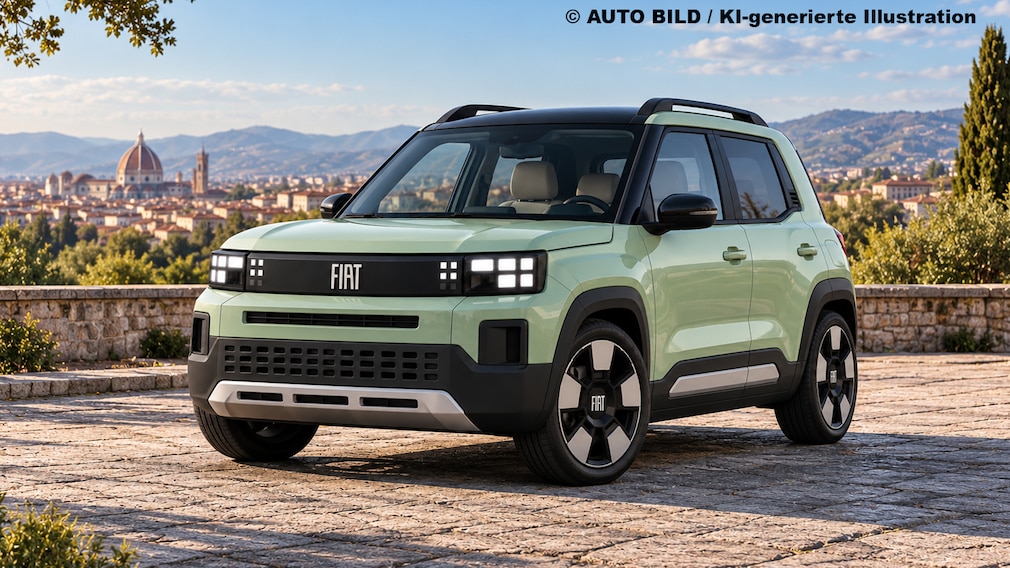 Fiat Koala Illustration