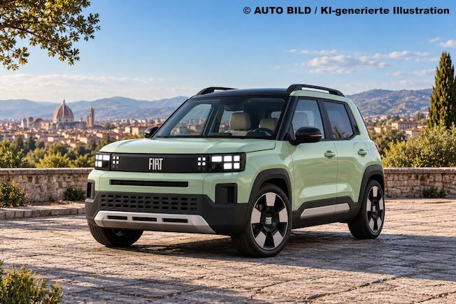Fiat Koala Illustration