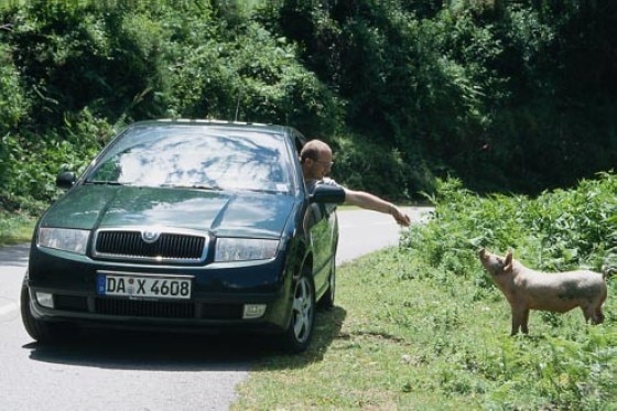 Dauertest Skoda Fabia 1.4 16V Comfort