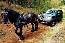 Land Rover Freelander (ab 1998)