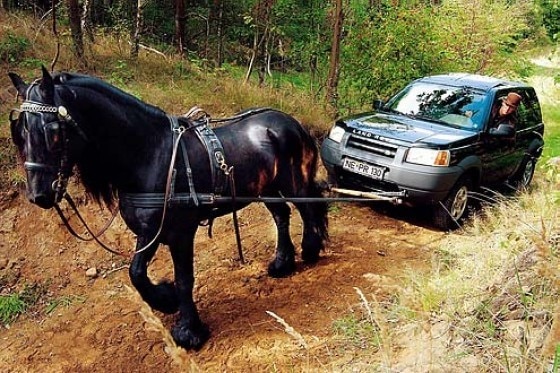 Land Rover Freelander (ab 1998)