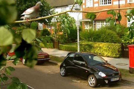 Aufregung um den Ford Sportka Aufregung um den Ford Sportka