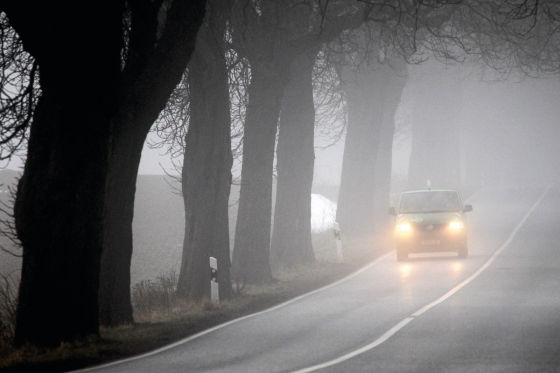 Nebel: So vermeiden Autofahrer Unfälle - AUTO BILD