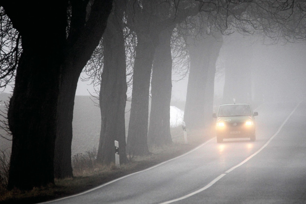 Nebel Licht
