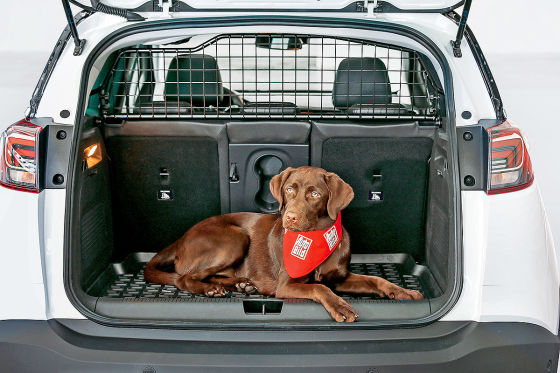 Hund Im Kofferraum Transportieren Unic Hundebox Made In Germany