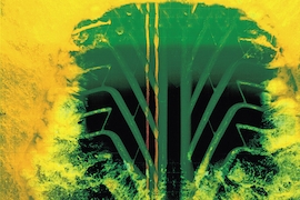 Reifen mit wenig Rollwiderstand