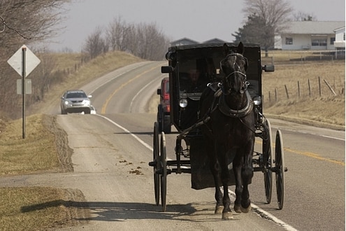 Pferdekutsche