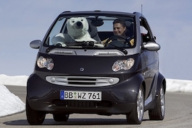 Smart fortwo sunray
