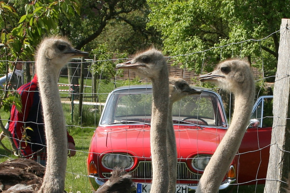 BŠderstra§e, Ford 17 M