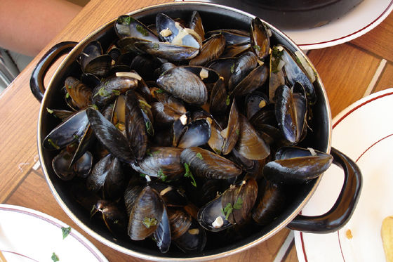 Muscheln in Fougères