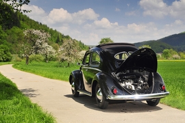 Käfer mit Dieselmotor