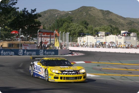 FIA GT-Meisterschaft 2008, Fabrizio Golin und Mike Hezemans, (Corvette Z06)