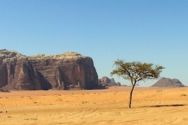 Erst sparen, dann verreisen