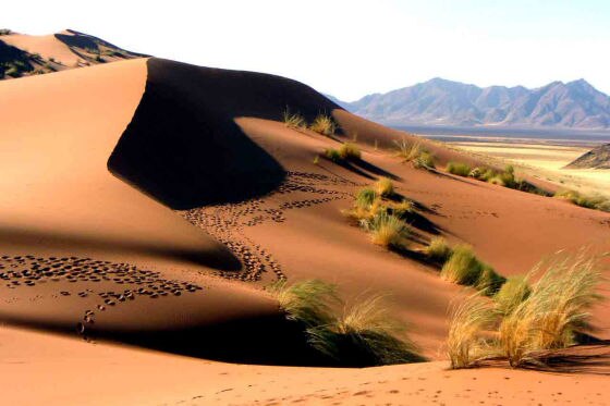 Rallye Dakar 2009, Etappe 10, Dünen in der Wüste