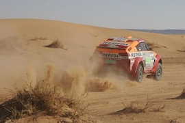 Rallye Dakar 2006, 11. Etappe