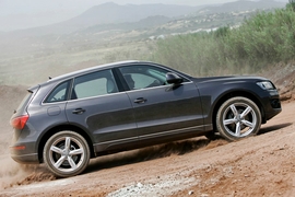 Das SUV Audi Q5 im Gelände.