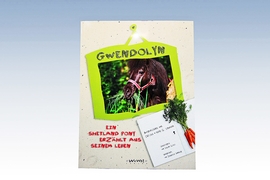 Cover Kinderbuch "Gwendolyn"