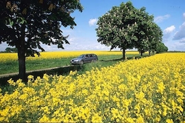 Biokraftstoff wird teurer