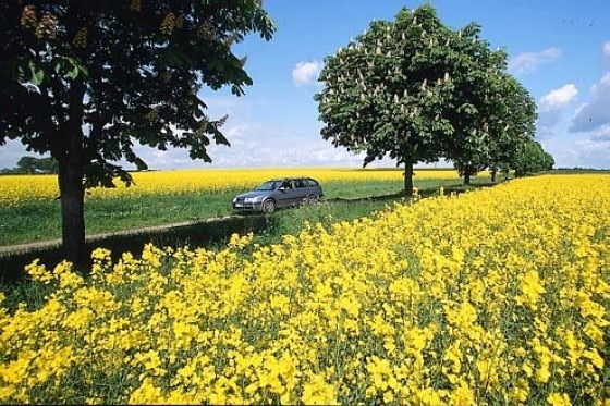 Biokraftstoff wird teurer