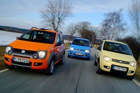 Drei Panda mit Diesel