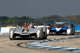 ALMS Sebring 2009, Audi R15 (Allen McNish) vor Peugeot 908 (Franck Montagny)