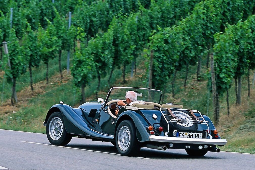 Morgan +8
