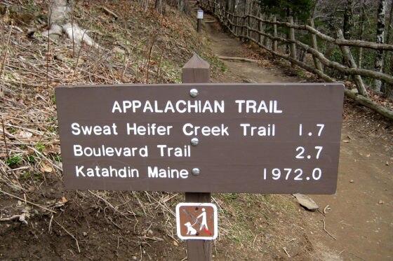 Eintritt in die Wildniss: Der Appalachian Trail (3440 km) ist einer der längsten und schönsten Fernwanderwege der Welt.