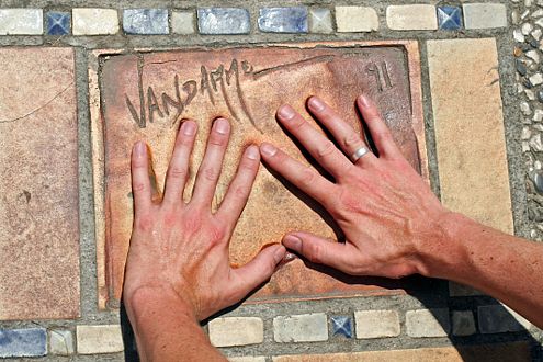 Cannes: Handabdrücke-Anpassen vor dem Filmpalast. Hier: J.C. Van Damme.