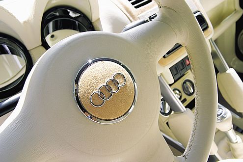 Audi auch innen: Michael hat konsequent gestylt.