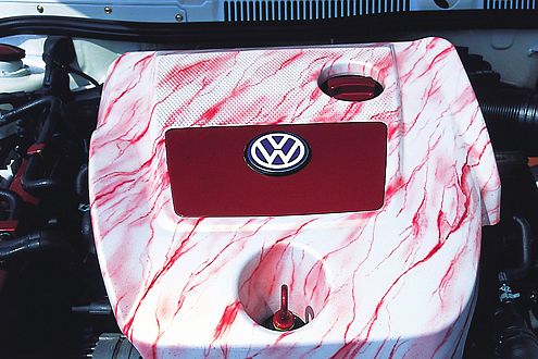 Auch die Motorabdeckung des 1,9-Liter-Diesels blieb nicht von der Lackierung verschont.