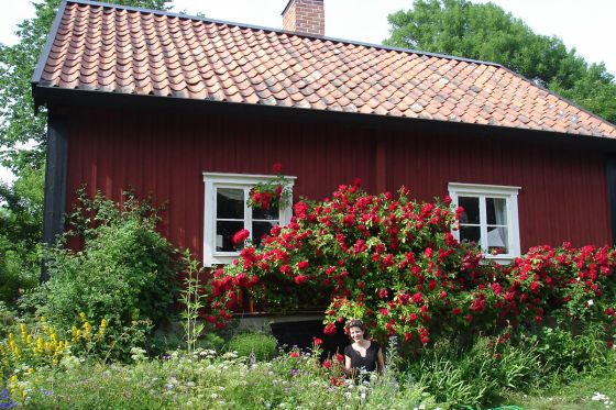 Zwischen den großen Seen Südschwedens