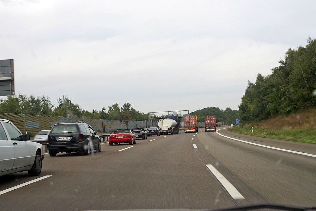 Elefantenrennen auf der Autobahn