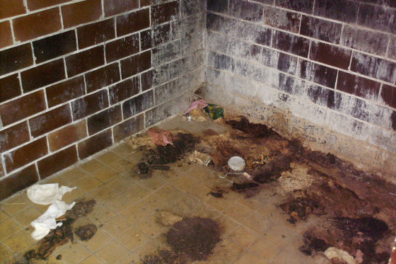 Rasthof Starovicky in der Tschechischen Republik