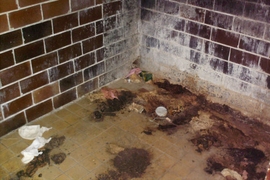 Rasthof Starovicky in der Tschechischen Republik