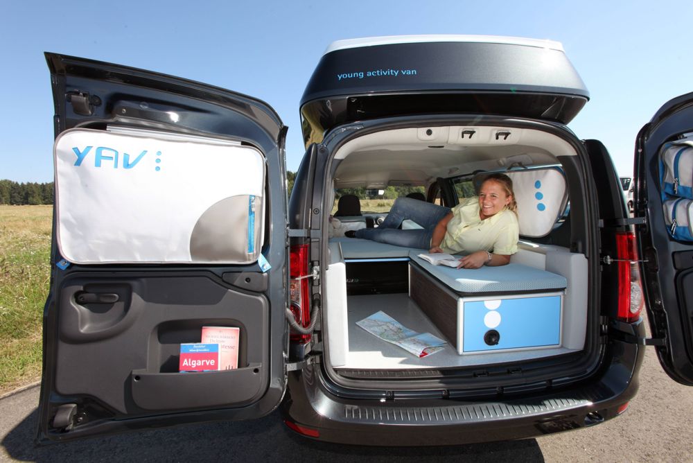Dacia Logan "Young Activity Van III"