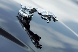 Jaguar in der Krise
