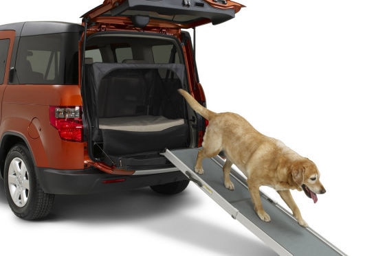 Honda Dog Friendly Element Concept