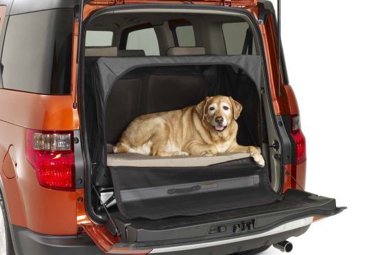 Honda Dog Friendly Element Concept