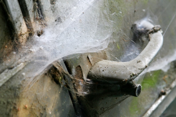 Autofriedhof Oldtimer Kaufdorf Versteigerung