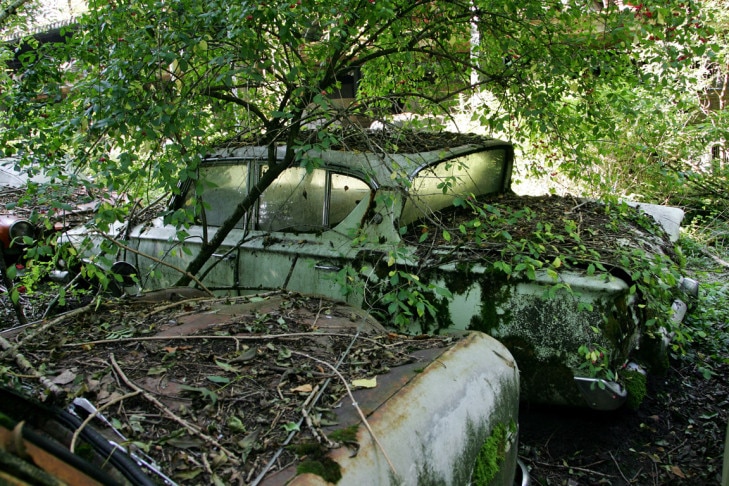 Autofriedhof Oldtimer Kaufdorf Versteigerung
