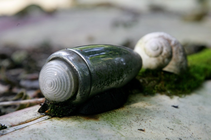 Autofriedhof Oldtimer Kaufdorf Versteigerung