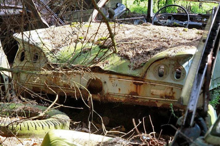 Autofriedhof Schrottplatz