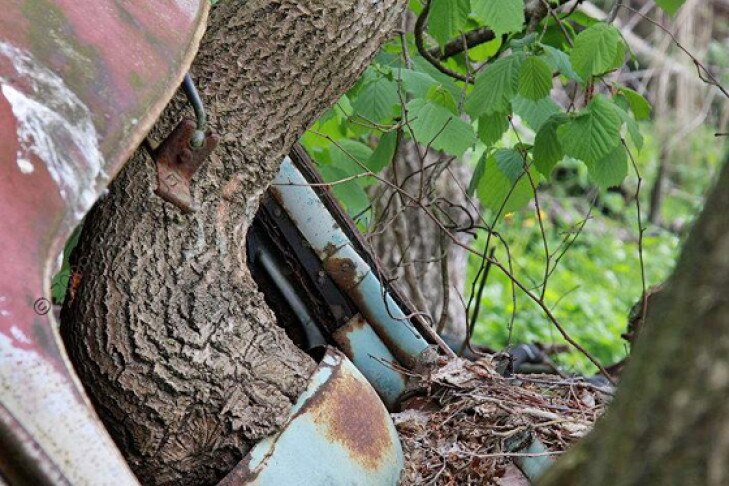 Autofriedhof Schrottplatz