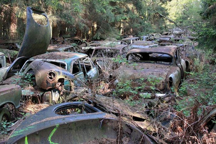Autofriedhof Schrottplatz