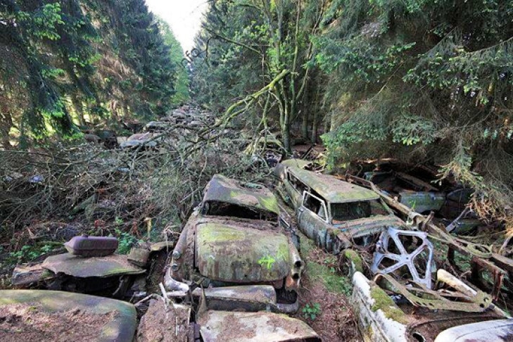 Autofriedhof Schrottplatz