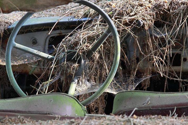 Autofriedhof Schrottplatz