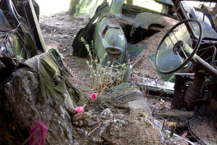 Autofriedhof Schrottplatz