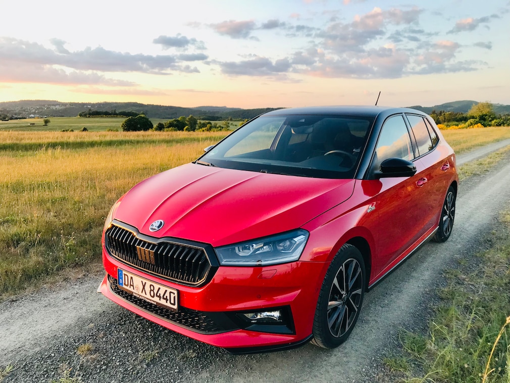 Dauertest Skoda Fabia